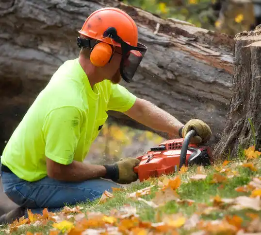 tree services Williamsburg